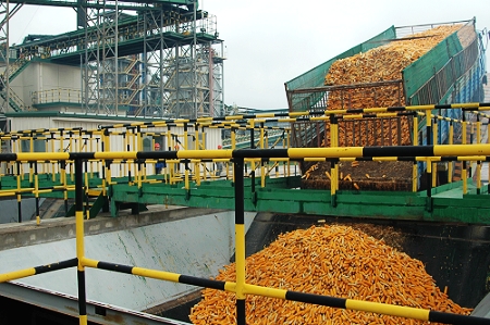 敦煌種業(yè)先鋒良種有限公司酒泉種子加工廠三、四期工程竣工投產(chǎn)