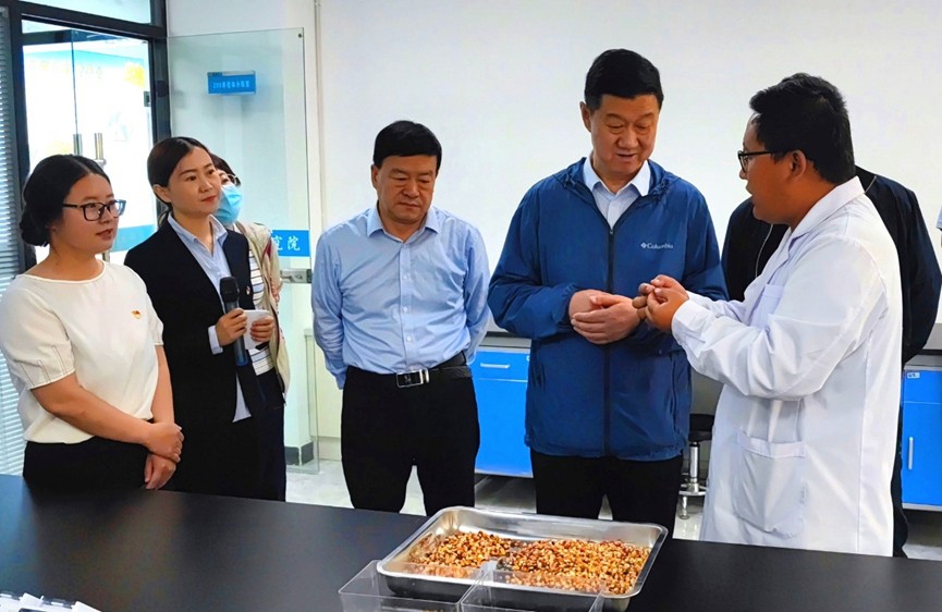 甘肅省地方金融監(jiān)管局、甘肅證監(jiān)局領(lǐng)導(dǎo)蒞臨敦煌種業(yè)調(diào)研指導(dǎo)